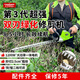 TOMSPOWER充電式綠籬機(jī)電動(dòng)修剪機(jī)托馬斯園林綠化剪茶葉背負(fù)式茶樹修粗枝機(jī) 雙刃24V重修款+20A(8.5小時(shí))