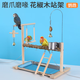 E7 生活花椒木鳥(niǎo)站架互動(dòng)平臺虎皮牡丹玄鳳鸚鵡站架腳鏈爬梯磨爪實(shí)木站棍 花椒木鸚鵡站架