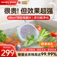 漢美馳（Hamilton Beach）果蔬清洗機器食材凈化機自動(dòng)清洗水果蔬菜肉神器家用小型多功能殺菌去農藥殘留果蔬機無(wú)線(xiàn)便攜 薄荷綠-全鈦·Ti電解片殺菌+多功能凈化+防觸電