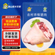 跑山密水農(nóng)家國(guó)產(chǎn)新鮮豬肘子 生鮮豬蹄膀 手工去毛 農(nóng)家安心豬肉生鮮源頭直發(fā) 前肘2只中號(hào)（凈2.8斤-3.2斤）