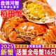 【活蟹】（網(wǎng)兜蟹）盤(pán)錦河蟹牌盤(pán)錦河蟹稻田蟹河蟹大閘蟹鮮活螃蟹 全母蟹丨0.9-1.2兩*16只