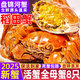 【活蟹】（網(wǎng)兜蟹）盤(pán)錦河蟹牌盤(pán)錦河蟹稻田蟹河蟹大閘蟹鮮活螃蟹 全母蟹丨1.4-1.7兩*8只