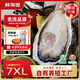 鮮海道【品質(zhì)】鮮海道生態(tài)生蠔  乳山牡蠣 活鮮海蠣子生鮮貝類 品質(zhì)升級(jí)7XL-凈重9斤