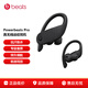 beats Powerbeats Pro 無(wú)線(xiàn)高性能耳機真無(wú)線(xiàn)藍牙運動(dòng) 被動(dòng)/主動(dòng)降噪 心率傳感Apple蘋(píng)果安卓通用耳機 黑色