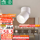 雷士（NVC）LED筒燈客廳可折疊旋轉免開(kāi)孔明裝天花燈筒射一體鋁材9瓦白色暖白