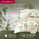 Harbor House美式全棉高支貢緞四件套床上用品田園風(fēng)純棉四季款床單被套枕套 經(jīng)典美式風(fēng)【Kauai四件套】 1.8米 床單款 （被套220*240cm）