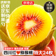 京地達蒲江紅心獼猴桃 24枚特大果單果100g+ 奇異果水果源頭直發(fā)包郵