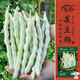 壽禾九粒白蕓豆種子苗早熟四季豆角春蔬菜籽 妍白九粒白種子50g*3袋