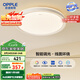 歐普（OPPLE）48瓦吸頂燈客廳臥室燈簡約護(hù)眼智控調(diào)光LED燈具18㎡品見III包安裝