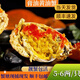【包活到家】廣東正宗膏油黃油蟹 鮮活特大節中秋送禮海鮮禮盒 【1只膏油黃油蟹】（5-6兩）