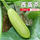 密水農家本地自種新鮮 西葫蘆 350g 鮮摘農家 蔬菜生鮮