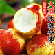 春福樂冬棗【源頭直發(fā)】大荔冬棗陜西脆棗甜棗當(dāng)季現(xiàn)摘現(xiàn)發(fā)新鮮水果禮盒 5斤 精選裝【手工精選】凈重4.5斤