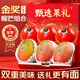 山姆大叔 高端水果禮盒裝果籃【JD順豐-多地次日達】團購中秋禮品教師節 【榴芒組合】9斤禮盒｜高性?xún)r(jià)比 贈賀卡禮袋【多重防護-JD/順豐閃送】