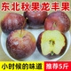 龍豐果大秋果沙果新鮮東北特產(chǎn)黃太平應季水果酸甜海棠果5斤包郵 5斤龍豐果