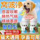 窩咳凈片犬窩咳專用藥寵物狗幼犬感冒咳嗽干嘔吐痰眼鼻分泌物氣喘 呵護愛寵健康成長