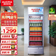 澳柯瑪（AUCMA)商用展示柜冷藏保鮮柜立式單門(mén)278冰柜飲料冷藏柜388超市啤酒風(fēng)循環(huán)528風(fēng)冷無(wú)霜冷柜冰柜 SC-228NE（風(fēng)循環(huán)）