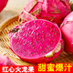 福仙品福建紅心火龍果整箱批發(fā)皮薄多汁新鮮現摘當季水果超甜正宗火龍果 紅心火龍果  中小果（單果200g起） 4斤