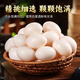耕果妙河南濮陽(yáng)農家新鮮鴿子蛋30枚1.2斤精品 源頭直發(fā) 整箱包郵