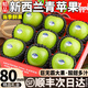 儲褚【順豐】新西蘭進(jìn)口青蘋(píng)果12顆酸甜多汁當季新鮮時(shí)令水果整箱包郵 精選10個(gè)裝（70-75mm)高端蘋(píng)果