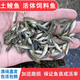 土鯪魚(yú)魚(yú)苗活體飼料魚(yú)魚(yú)料活魚(yú)喂鱖魚(yú)喂金龍喂烏龜喂桂花鱸魚(yú)活餌 飼料魚(yú)1-2cm30條送10%防損