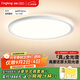 琪朗（KINGLONG）臥室吸頂燈ALED全光譜護(hù)眼客廳吸頂燈具國(guó)家補(bǔ)貼60cm【包安裝】