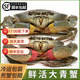【包活到家】東山島特大野生青蟹滿(mǎn)黃紅膏蟹螃蟹黃油蟹送禮盒順豐 紅膏母蟹2斤裝（4只）