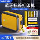 TAGBOTS藍(lán)牙標(biāo)簽打印機Q18Pro熱轉(zhuǎn)印通信便攜式線號機手持小型貼紙打標(biāo)機標(biāo)識貼網(wǎng)線配電箱線纜空開標(biāo)簽機 Q18【手機藍(lán)牙+鋰電池+手動全切】送標(biāo)簽帶
