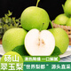 京地達梨碭山翠玉梨翠冠梨凈重8.8斤單果250g+新鮮梨子中秋水果源頭直發(fā)