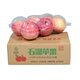 承德石湖蘋(píng)果山地紅富士 精品嘗鮮裝6枚/箱（果徑80-85mm）