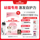 皇家幼貓貓糧 幼貓奶糕 K36 通用糧 4-12月 10KG