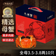 【活蟹】陽澄鄉(xiāng)村大閘蟹全母3.5-3.8兩10只 去繩足重鮮活螃蟹現(xiàn)貨生鮮實物水產(chǎn)海鮮禮盒