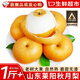 融鮮山東萊陽(yáng)秋月梨新鮮水果禮盒冰糖雪梨子當季應季水果中秋節送禮物 5斤精選果丨單果9兩+ 凈重4.5斤