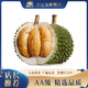 金尼堯黑刺榴蓮馬來(lái)西亞D200液氮冷凍水果禮盒AA級(jí)尊享5房 【特惠秒殺】2.0-2.5斤（甄選果 保4房）