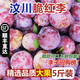 土地母親計劃 正宗汶川脆紅李脫骨李子 四川新鮮紅脆李 【精品禮盒】5斤大果