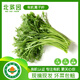 北菜園有機蒿子稈茼蒿250g新鮮有機蔬菜【進(jìn)店多樣加購】火鍋涮菜