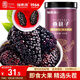 福東海 桑葚干果300克(大果) 精選無(wú)沙黑桑葚干茶新鮮大果即食養生茶 