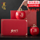 龍璽韻君山銀針正品黃茶正宗湖南岳陽(yáng)特產(chǎn)茶葉2025新茶禮盒裝國慶送禮250g  盛世禮盒裝