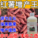 紅薯地下猛長(cháng)膨大素紅薯控旺增產(chǎn)防裂果壯苗生根抗病無(wú)激素葉面肥 3瓶【紅薯增產(chǎn)王】不傷作物