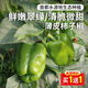 密農(nóng)人家農(nóng)家種植 柿子椒 新鮮蔬菜 青椒300g沙拉 北京蔬菜