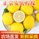 正宗安岳黃檸檬新鮮水果5斤精選香水甜皮薄當季整箱青檸檬小金桔q 1斤嘗鮮裝【新鮮現發(fā)】