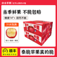 旭崢果蔬陜西白水正宗秦脆蘋(píng)果當季頭茬新鮮孕婦水果脆甜多汁整箱禮盒順豐 凈重4.5斤【大果】7-9枚