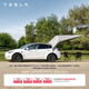 特斯拉（Tesla）官方 2020-2024 Model Y車尾天幕自駕裝備戶外車尾延伸露營