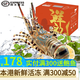皆鄰東山島海捕大花龍蝦錦繡花龍蝦大青龍蝦禮盒海鮮禮盒春節送禮年貨 大青龍1.1-1.3斤/只