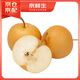 京鮮生 豐水梨 6斤 單果約250g+ 生鮮水果