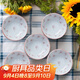 美濃燒（Mino Yaki）日本進(jìn)口陶瓷味碟家用餐碟釉下彩四葉草4.5英寸味碟5件套