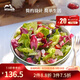 琺寶（staub）陶瓷碗大號沙拉碗家用甜品碗泡面湯碗面碗烘焙雙耳飯碗 18cm 蒔蘿綠