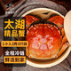 【活蟹】湖塘煙雨 太湖大閘蟹六月黃2.9-3.2兩8只鮮活螃蟹現貨水產(chǎn)禮盒海鮮源頭直發(fā)