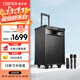 漫步者（EDIFIER）PW312 12英寸舞臺戶(hù)外移動(dòng)音箱 高保真音響廣場(chǎng)舞ktv露營(yíng)電木吉他民謠樂(lè )器音箱
