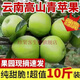 現摘云南昭通青香蕉青蘋(píng)果新鮮10斤裝當季整箱脆甜孕婦水果甜 70mm(含)-75mm(不含) 純甜味原產(chǎn) 5斤