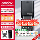 神牛（Godox）TT600 閃光燈高速機(jī) 頂外拍燈攝影燈內(nèi)置引閃2.4G傳輸  通用（除索尼）